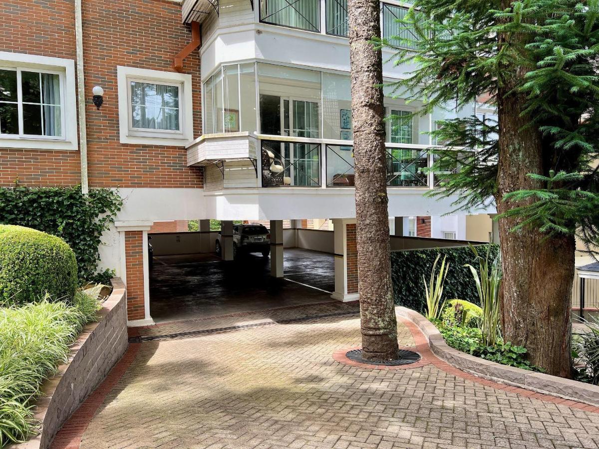 Apartamentos Condado Homelland Centro By Achei グラマド エクステリア 写真